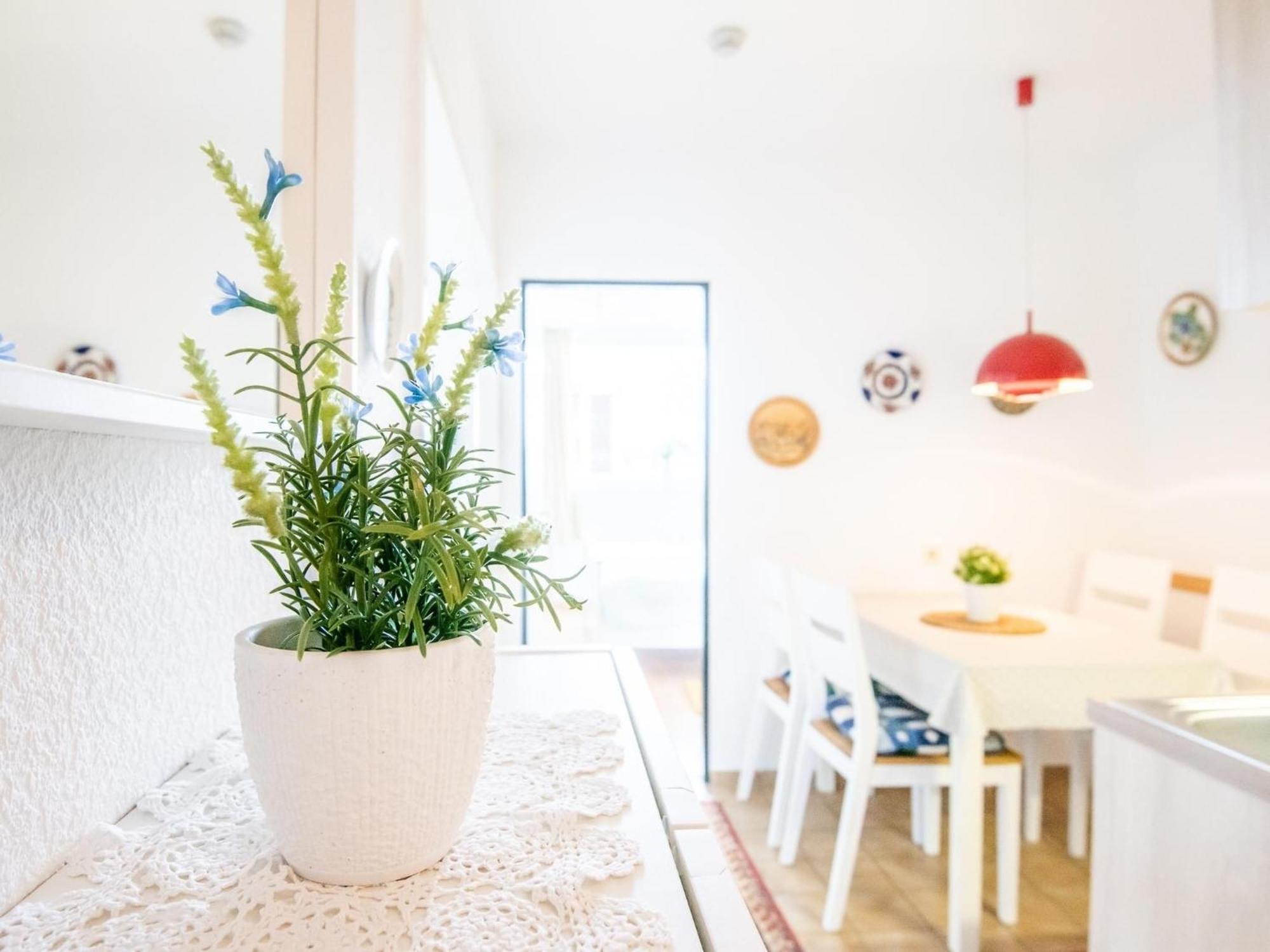 Haus Meeresblick Wohnung 24 Kellenhusen Dış mekan fotoğraf
